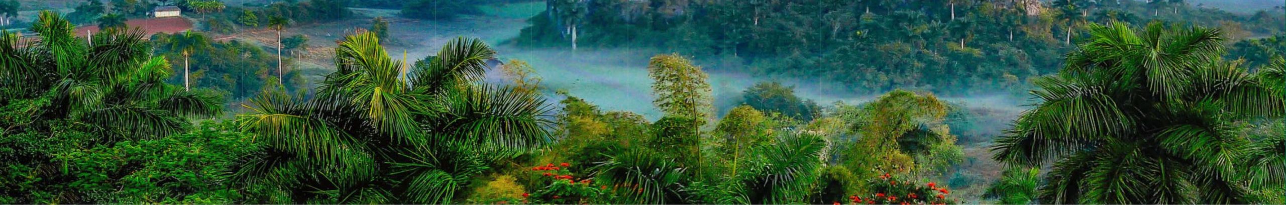 Phong cảnh núi rừng tươi xanh ở Legacy Hill Hòa Bình