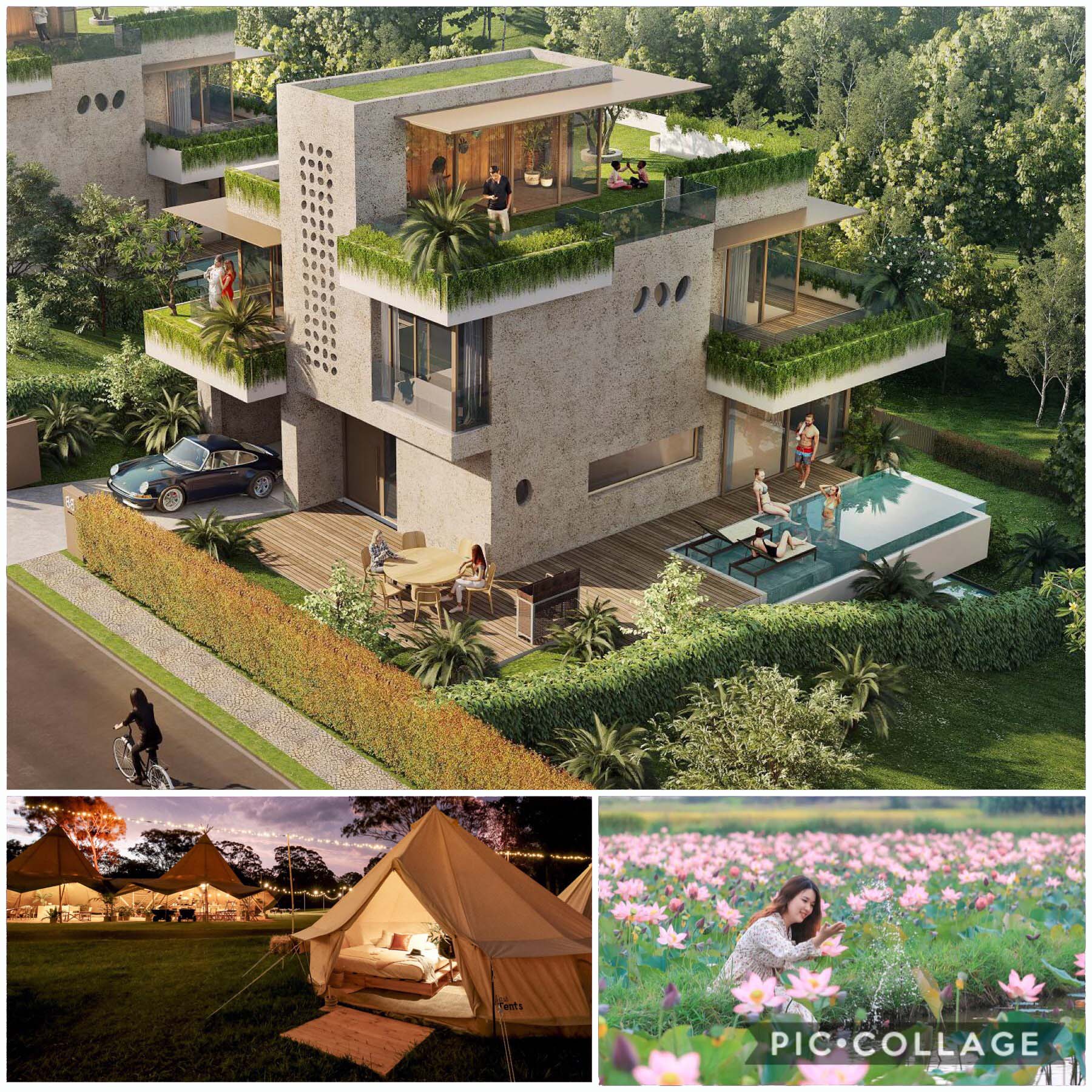 Phối cảnh nhà Legacy Hill Hòa Bình di sản vật chất quý hiếm